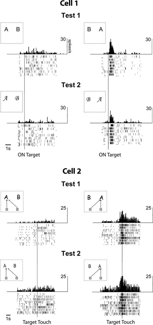 Spatial selectivity of ACC neurons. Cell 1 and Cell 2 were recorded in the left and right ACC of M1, during the repetition in two tests. Positions of letters ‘A’ and ‘B’ in the insets designate the position of the optimal and non-optimal stimulus. Cell 1 is more active when the optimal stimulus is located on the right [Left versus Right, epoch E2: F(1,22) = 867.9, P < 10−6). Cell 2 is more active when the arm-movements are directed towards the right position [Left versus Right, epoch E4: F(1,31) = 239.65, P < 10−6].
