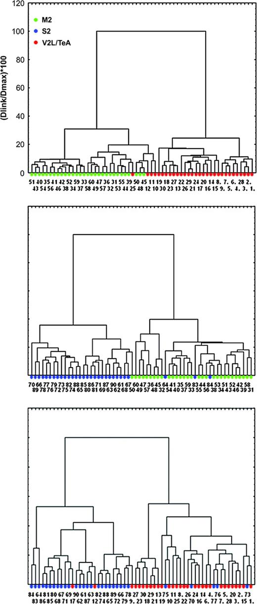 Cluster analysis. Dendrogram showing cluster analysis (Euclidean distances, Ward's method) results for all basal skirts. Basal skirts are divided into M2 (green), S2 (blue) and V2L/TeA (red) clusters. Numbers at the bottom of each tree branch denote the neuron identification number.