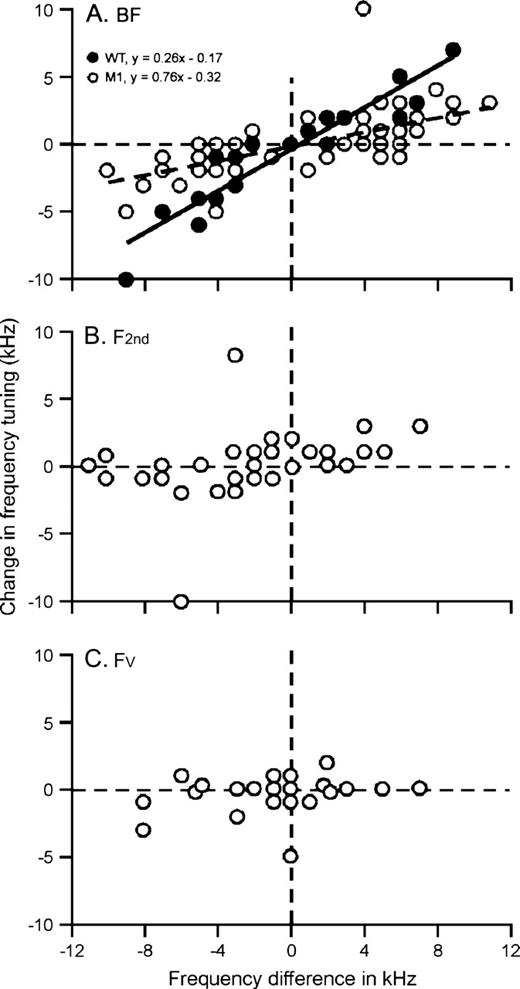 Tone–ESNB–evoked changes in frequency tunings as the function of the difference between tone frequency and control frequency tunings of cortical neurons. As shown in (A), the shifts in BFs of cortical neurons were linearly correlated to the difference between tone frequency and cortical BFs in both wild types (filled circles and solid line) and M1 mutants (open circles and dashed line). The changes in F2nd and Fv did not show significant correlation to the differences between the tone frequency and the frequencies of F2nd and Fv of cortical neurons (B, C).