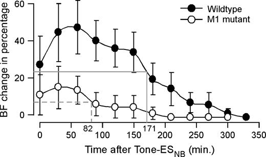 Time course of tone–ESNB on the shifts in cortical BFs. The percentage changes in BF were calculated before the tone–ESNB and at every 30 min after the tone–ESNB. Each data point was calculated based on all sampled neurons, 24 neurons for wild types and 69 neurons for M1 mutants. The BF shifts started immediately after tone–ESNB in both wild types and M1 mutants. The shifts in cortical BFs in M1 mutants recovered faster than those in wild types. The solid gray line and dashed gray line represent the 50% recovery for wild types and M1 mutants, respectively.