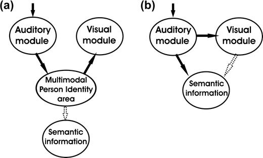 Two alternative mechanisms of interaction of unisensory modules during recognition of familiar speakers' voices. If the visual module is activated through a top–down effect, its activation is unlikely to interfere with unimodal speaker recognition performance (a). If the visual module is activated through a low-level coupling, speaker/person recognition can already take place at the sensory level (b) and influence the level of activation in supramodal areas.