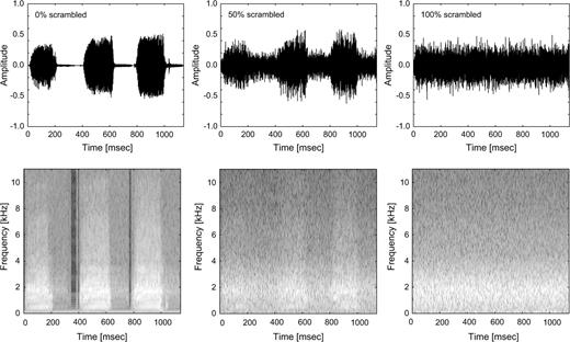 Sample stimulus (duck vocalization). Amplitude waveform (upper panel) of the original stimulus (left), 50% degraded (middle), and 100% degraded (right). Spectrograms (lower panel) of the original stimulus (left), 50% degraded (middle), and 100% degraded (right).