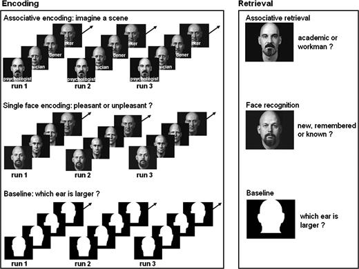 Study design. Left side (encoding fMRI time series): Displayed are examples of stimuli presented for associative learning, single-face learning, and the visual baseline task. Each stimulus appeared once in each run. Right side (retrieval fMRI time series): Displayed are examples of stimuli presented for associative retrieval, face recognition, and the visual baseline task. Alex Kayser granted us permission to use and reproduce faces from his book “Heads,” 1985, New York: Abbeville Press.