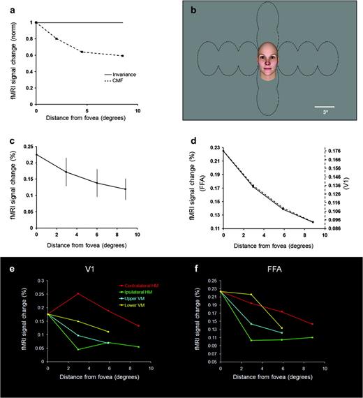 Responses to variations in visual field position of face stimuli. (a) The hypothesis of position invariance (solid line) predicts an equivalent response in FFA irrespective of visual field position. Alternatively, the CMF hypothesis (dashed line) predicts a response that decreases according to the CMF variation (e.g., Figure 1). (b) Stimulus configuration. Within a given block, faces were presented in one of the visual field locations outlined by dashed black lines. (c) Results from FFA combined across all 4 axes. FFA activity decreases systematically with increasing stimulus eccentricity consistent with the CMF hypothesis. (d) The FFA response curve (solid line) was near-identical to that in V1 (dashed line). (e) FMRI variations in V1 due to variations in position along 4 major visual field axes. As expected, the steepest decrease resulted from moving the face into the ipsilateral visual field by the most direct path along the horizontal meridian (green). Movement in the opposite direction (contralateral visual field, red) produced the highest overall activity. The slope of these 2 curves was a nonmonotonic function reflecting 2 competing factors: 1) activity decreased with increasing face eccentricity, as in the other measurements, but: 2) activity increased/decreased more at the first offset from zero as the face shifted from half-viewed in a given hemisphere (central position) to whole viewed (all other positions). As expected, activity along the vertical meridian (yellow and cyan) decreased with a slope intermediate to those along the horizontal meridian. (f) Variations in FFA activity as a function of position, otherwise as in panel (e). The changes in activity are qualitatively similar to those in V1 (see e) except for a single point. However, the range of response difference is compressed relative to that in V1, as one would expect from larger receptive fields in FFA.