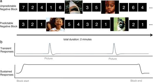 Experimental design and analysis schematic. (A) Within a task block, negative or neutral pictures are presented (3 s duration) embedded within variable-duration predictable or unpredictable timings. (B) Schematic images depicting canonical transient event responses (top) that are estimated separately from sustained responses that remain persistently active throughout the blocks (bottom). This figure is for illustration purposes only and is not intended to accurately represent the actual experimental parameters.