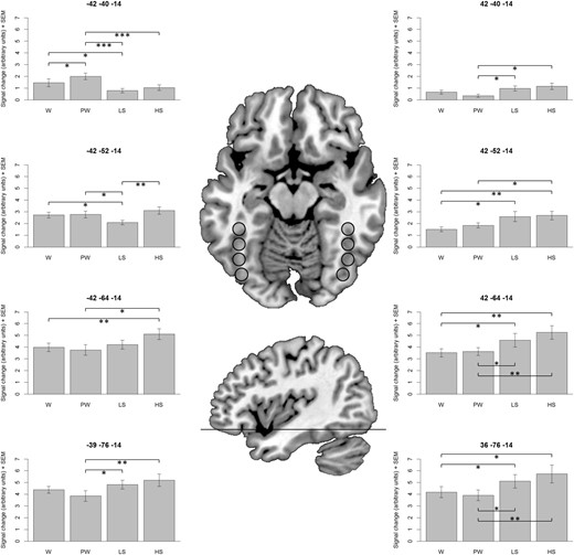 ROI-based analysis of the ventral visual stream. Bar plots represent signal change estimates (in arbitrary units) and standard errors of the mean (SEM). Statistically significant post hoc pairwise comparisons are indicated by asterisks: *P < 0.05, **P < 0.01, ***P < 0.001. W, words; PW, pseudowords; LS, line strings; HS, Hebrew strings.