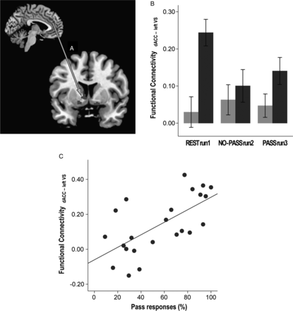 Correlation between resting-state functional connectivity, task performance, and impulsivity. The synchronous activity between dACC and the left ventral striatum (VS; A) was stronger in the HP group compared to the LP group (F1,21 = 7.739, P = 0.011; B). Stronger resting-state dACC-VS synchrony correlated with greater use of Pass in PASS run 3 (C). (Sidebars represent ±1 standard error).