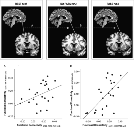 Correlation between resting-state and task-activated functional connectivity. Stronger resting-state functional connectivity between the dACC and the left ventral striatum (VS) predicted stronger dACC-AI synchrony in NO-PASS run 2 (A). In the same way, stronger dACC-AI synchrony in NO-PASS run 2 predicted stronger dACC-AI synchrony in PASS run 3 (B).