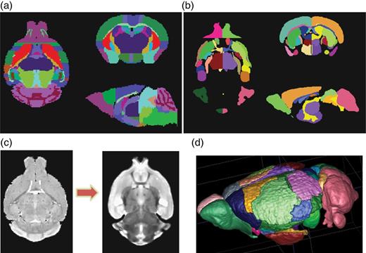 Creation of the connectivity atlas. (a) NUS atlas. (b) Mori atlas (note that the cortex is not parcellated in this atlas). (c) Registration using DRAMMS between NUS atlas T2 image and Mori atlas T2 image. (d) Cortical ROIs from NUS atlas transferred onto the Mori atlas while the subcortical ROIs from Mori atlas are retained and WM ROIs are removed. A total of 42 ROIs were used in creating the network.