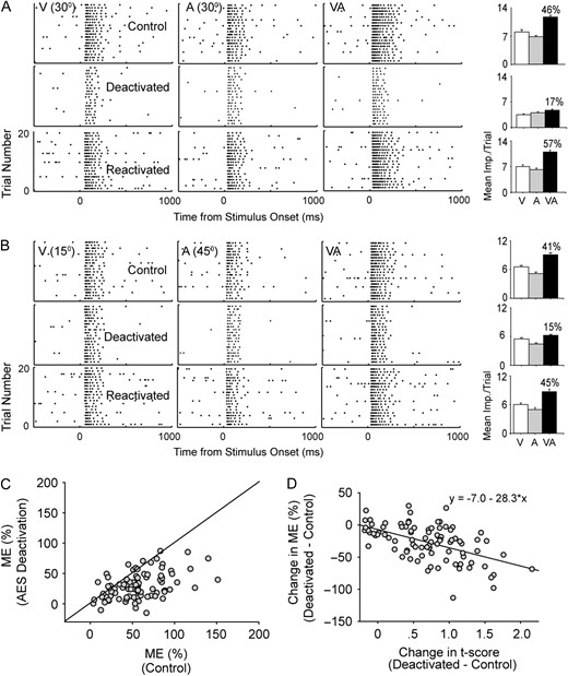 ME reductions caused by AES deactivation was significantly correlated with the separation of visual–auditory RFs. The panel sequence above shows the results of spatially paired (A) or unpaired (B) sensory stimulation. The raster sequences show the neuron's responsiveness to visual (left column), auditory (middle), and visual–auditory (right) stimuli under 3 conditions: control (top), during deactivation of AES (middle), and following recovery from deactivation (bottom). The number given in each raster plot represents the stimulus location in azimuth. The corresponding bar graphs show the mean magnitude of responses and the number above the bar represents the percent ME. Note that AES deactivation causes a decline in ME regardless of spatial pairing. Graph C shows the plot of ME for all neurons tested in control and AES deactivation conditions. Finally, in graph D, the change in ME between control and AES deactivation was plotted against its change in t-score. As unimodal RF spatial separation increases (represented by a gain in t-score), ME decreases reliably (R = 0.58). The line of best fit (formula above) illustrates the relationship.