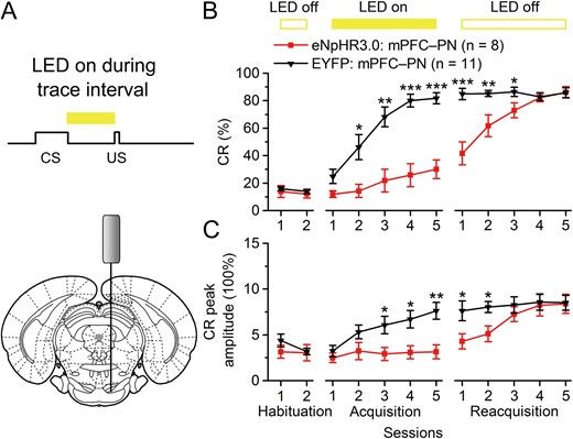 Optogenetic inhibition of the mPFC axon terminals in the right PN also impairs the TEC acquisition. (A) Scheme for optical fiber implant site and 590-nm LED illumination pattern to the right PN during trace interval period. (B,C) Effects of optogenetic inhibition of the caudal mPFC axon terminals in the right PN during the trace interval period on CR% and CR peak amplitude of TEC acquisition (*P < 0.05, **P < 0.05,***P < 0.001; 2-way ANOVA with repeated measures followed by Tukey post hoc test). Data are represented as mean ± s.e.m.