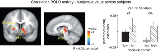 Correlations between subjective value and BOLD activity. Top: Across groups significant correlations were observed in the right ventral striatum, the left putamen and the left thalamus. Bottom: Mean activity in the right ventral striatum shown separately for younger adults (black) and older adults (gray) and the high and the low conflict condition (solid and dashed bars respectively). Note that the bargraphs were determined using functional ROIs.