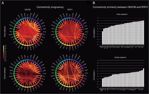Task and rest connectivity of the social brain. (A) The circle plots depict the “congruency” among the connectivity patterns of any given pair of seed regions in the task-dependent (MACM; “left column”) and task-independent (RSFC; “right column”) brain states when taking into account only the social seed regions (intranetwork analysis; “upper row”) or the entire brain (extranetwork analysis; “lower row”). The color scale of the lines represents the shared connectional architecture from the lesser (“red”) to the greater degree of topographical overlap (“yellow”). (B) “Similarity” between the whole-brain connectivity maps of each individual seed between both MACM and RSFC analyses. The seed regions are ranked in increasing order of task-rest correspondence. The order varies accordingly in the intra- and extranetwork subanalyses. The seeds exhibit more similar connectivity between seeds of the social brain rather between seeds and the rest of the brain. For abbreviations see Table 1.