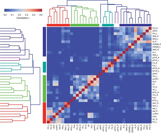 Functional networks in the social brain. We computed a consensus hierarchical clustering across the 2 functional connectivity analyses measuring task-constrained coactivations (MACM) and task-free activity fluctuations (RSFC). Seed regions automatically grouping into a same cluster agree in connectivity across the 2 different brain states. Four major clusters of connectionally coherent social brain regions emerged. These were situated in (from lower-left to upper-right): (1) limbic, (2) higher-level, (3) visual-sensory, and (4) intermediate subnetworks. For abbreviations see Table 1.