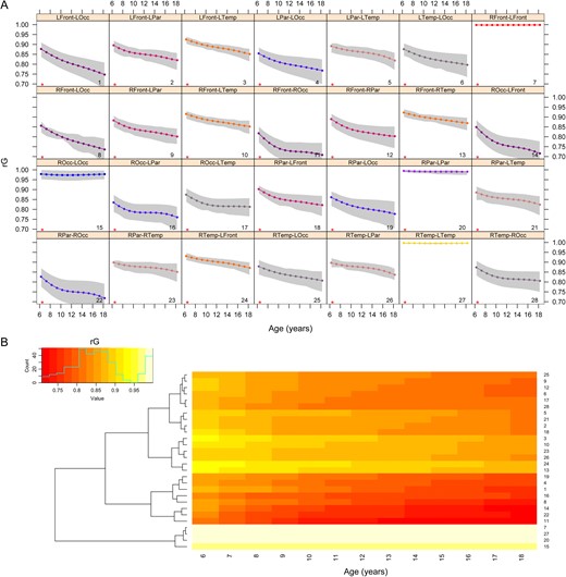 Age-related changes in genetic correlations (rG) for cerebral volumes. Panel A displays changes in genetic correlations for all ROI pairs, with 95% confidence intervals shown in gray. Asterisks identify ROI pairs with significant age-related changes after FDR-correction. The heatmap (B) shows the same trajectories sorted via hierarchical cluster analysis. The numbers on the right correspond to the numbers in each panel of A. A dynamic version of these results available in Supplementary Movie 1.