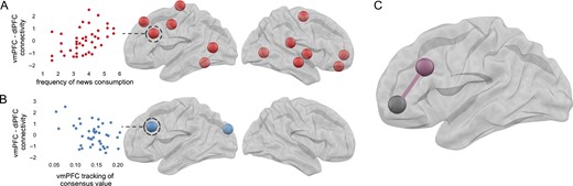News reading and vmPFC consensus value tracking were associated with lower levels of vmPFC–dlPFC connectivity. (A) Less frequent news reading was associated with lower connectivity of vmPFC with several brain regions, including dlPFC, medial PFC, lateral temporal cortex, premotor cortex, and insula. (B) Higher vmPFC value tracking was associated with lower connectivity of vmPFC with dlPFC and occipital cortex. (C) vmPFC and dlPFC nodes for which lower connectivity was associated with both less news reading and higher vmPFC value tracking. (Regions visualized reflect those for which 95% credibility intervals under a LASSO prior excluded zero.)