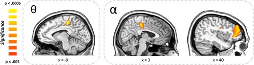 Whole-brain correlations between chronological age and oscillatory activity. Greek letters indicate frequency band. (Right) Positive associations between chronological age and alpha oscillatory activity were detected in the right cingulate cortex, right prefrontal cortex, and the right precentral gyrus indicating that alpha oscillations in these areas decreased (i.e., weaker desynchronization) with increasing age. (Left) Positive associations were also found in the left cingulate cortex in the theta frequency range, which in this case indicates stronger responses (i.e., greater synchronizations) with increasing age.