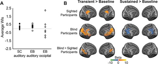 Contribution of transient and sustained components to fMRI response in sighted and blind participants. (A) Average WI for vertices responding to long-duration sounds in sighted and blind participants. Plotted is, for each participant, the average WI across responsive vertices (fixed effects GLM, contrast sustained + transient > baseline; P < 0.005, cluster size corrected) in the AC of sighted indviduals (left column, n = 12), in the AC of blind individuals (middle column, n = 12), and in the occipital cortex of EB (right column, n = 6; other blind participants did not show active occipital clusters at the threshold mentioned above). (B) Transient and sustained functional activation in response to long-duration sounds. The first and second rows show the mean regression weights resulting from the within-group RFX GLM (left column: contrast transient > baseline; right column: contrast sustained > baseline) projected on the group-averaged cortical surface. The third row shows the result of a mixed effects model testing for group differences in functional activation between blind and sighted participants. All maps were thresholded with a nonparametric permutation testing procedure at P < 0.05 and corrected for multiple comparisons with a local clusterwise inference (final threshold P < 0.05).