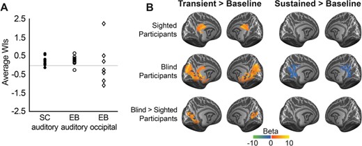 Contribution of transient and sustained components to fMRI response in sighted and blind participants. (A) Average WI for vertices responding to long-duration sounds in sighted and blind participants. Plotted is, for each participant, the average WI across responsive vertices (fixed effects GLM, contrast sustained + transient > baseline; P < 0.005, cluster size corrected) in the AC of sighted indviduals (left column, n = 12), in the AC of blind individuals (middle column, n = 12), and in the occipital cortex of EB (right column, n = 6; other blind participants did not show active occipital clusters at the threshold mentioned above). (B) Transient and sustained functional activation in response to long-duration sounds. The first and second rows show the mean regression weights resulting from the within-group RFX GLM (left column: contrast transient > baseline; right column: contrast sustained > baseline) projected on the group-averaged cortical surface. The third row shows the result of a mixed effects model testing for group differences in functional activation between blind and sighted participants. All maps were thresholded with a nonparametric permutation testing procedure at P < 0.05 and corrected for multiple comparisons with a local clusterwise inference (final threshold P < 0.05).