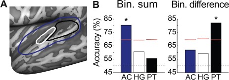Multivariate analysis of differences in binaural spatial sensitivity between sighted and blind participants. (A) Schematic overview of the anatomical masks used for the multivariate analysis, overlaid on the inflated surface of the left hemisphere. Outlined in blue is the mask of the entire AC, outlined in white is the mask of HG, and outlined in black is the mask of PT. (B) Classification accuracies for the binaural sum activation maps, and the binaural difference activation maps, in AC, HG, and PT. The black dashed line indicates the chance level (50%), the red dashed lines indicate the 95% quantile of the null distribution, and the asterisks indicate accuracies significantly higher than chance (see text for detailed results of statistical testing). Bin. = binaural.