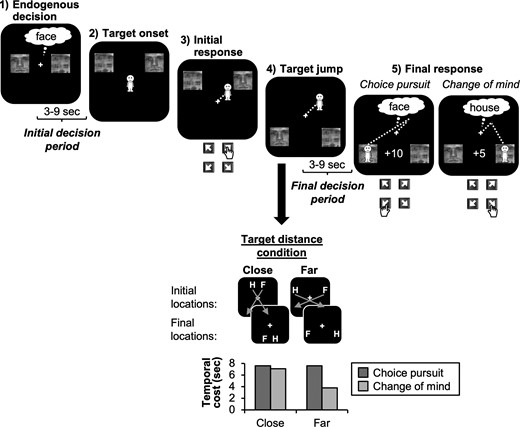 Double-step choice task (diagonal trials). Participants made an endogenous face/house decision (initial decision period) and then had to navigate a manikin to a target location by pressing the key corresponding to the location of the chosen image. On some trials, the images jumped to new locations after action onset and participants then had to decide whether to pursue their initial choice or change their mind and switch to the alternative option (final decision period). Final decisions depended on a trade-off between rewards and temporal costs: in diagonal trials, images jumped to the diagonally opposite location, and hence, participants could save time by switching to the alternative choice option for 5 points, instead of pursuing their initial choice for 10 points. Differences in temporal costs were particularly pronounced in the far-distance condition where temporal costs associated with choice pursuit were twice as large as costs associated with CoM (bottom). By contrast, in the close-target condition, costs were roughly equal for choice pursuit and CoM.