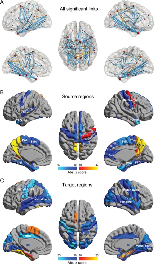 (A) Differences in effective connectivity between patients with schizophrenia and controls. The links shown are those with significantly different effective connectivity after FDR P < 0.01 correction. Yellow indicates that the effective connectivity is increased in patients, and blue that it is decreased. (B) The AAL2 atlas areas from which the effective connectivities were significantly different in patients with schizophrenia. (C) The AAL2 atlas areas to which the effective connectivities were significantly different in patients with schizophrenia. There were 196 such links in (B) and (C) significant with FDR correction, P < 0.01, and with effective connectivity values in at least one direction that were greater than 0.03.