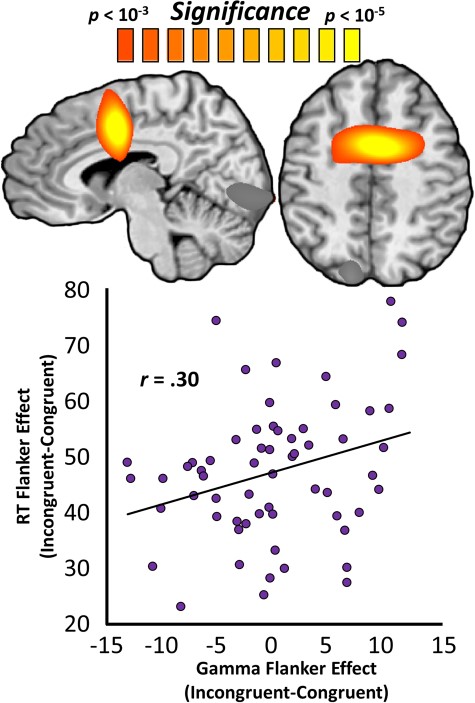 DNAm-predicted anterior cingulate gamma oscillations predict the behavioral flanker effect. Whole-brain maps are voxel-wise regressions of gamma-range congruency maps on biological age advancement and represent the anterior cingulate cluster that survived stringent multiple comparisons correction. The color scale-bar (above maps) indicates the statistical significance of the test at each voxel, with warmer colors representing more robust relationships. The scatterplot below represents the relationship between the congruency effect on gamma oscillations (x-axis, in units of pseudo-t) at the peak shown above and the effect of stimulus congruency on reaction time (y-axis, in milliseconds), with the line of best fit and effect size overlaid.