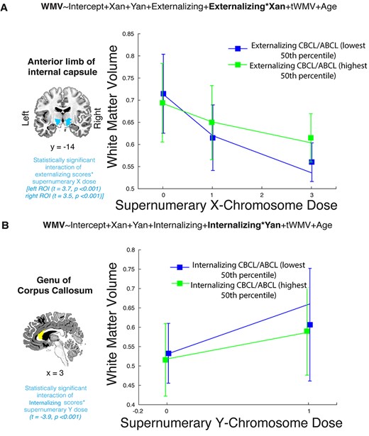 Correlation between SCD-driven changes and internalizing and externalizing psychopathology. (A) Significant interaction effect of externalizing psychopathology on the relationship between WMV in the anterior limbs of the internal capsules and supernumerary X-chromosome dosage. As X-chromosome dosage increased, WMV decreased, but this relationship was attenuated in individuals with more severe externalizing psychopathology. These interactions were significant in both the left (t = 3.7, P < 0.001) and right (t = 3.5, P < 0.001) internal capsules, but only the left-side line graph is shown here. (B) Significant interaction effect of internalizing psychopathology on the relationship between WMV in the genu of the corpus callosum and supernumerary Y-chromosome dosage (t = −3.9, P < 0.001). WMV in this region increased with mounting Y-chromosome dosage, but this relationship was less dramatic in individuals with greater internalizing psychopathological symptoms. In both cases, line graphs were generated based on the mean WMV of all voxels within the respective regions of interest, with error bars indicating standard deviation. Models were run using continuous measures of externalizing and internalizing psychopathology from the CBCL and ABCL, but are placed in highest and lowest 50th percentile categories here for visualization purposes. Supernumerary X- and Y-dosages refer to X and Y dosage counts that are above gonadal baseline (i.e., 0 in graph 2A encompasses XX and XY individuals, 1 encompasses XXY and XXX individuals, 2 encompasses XXYY individuals, and 3 encompasses XXXXY individuals).