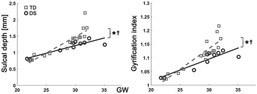 Growth trajectories of whole brain average sulcal depth and GI. x-axis indicates GW, and y-axis indicates observed values of sulcal depth (mm) and GI. *Significant group difference and †significant group-GW interaction effect.