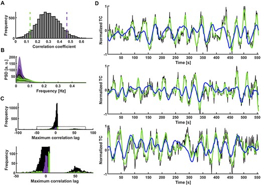 GRU categorization of V1 temporal patterns. (A) Histogram of prediction scores obtained by predicting slow fluctuations of 8024 single-hemisphere V1 ROI signals extracted from HCP data. The used GRU was trained on occipital cortex single-vessel signals of 6 in-house subjects. Green and violet dashed lines mark the bottom and top 5% of correlation coefficients. (B) Mean PSDs of time courses whose predictions obtained the bottom 5% (green) and top 5% (violet) scores. Shaded areas show SD. (C) Histogram of lags at which the correlation between targets and network outputs was the highest. The lags of top 5% of the predictions (violet) are concentrated around 0. The lags of bottom 5% (green) are spread across the highest and lowest lag values. Bottom: Enlarged region marked on the top plot. (D) Predictions of signals with three of the best correlations (CC1 = 0.64, tlag,1 = −1 s; CC2 = 0.62, tlag, 2 = 1 s; CC3 = 0.62, tlag, 3 = −1 s; black—raw data, green—target, blue—network prediction).