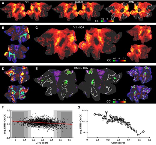 Difference maps for ICA seed-based correlation between well and poorly predicted fMRI sessions. (A) Flattened cortical maps showing the difference between the mean seed-based correlation maps of the 5% “top” and “bottom” groups. The seed signals were: the V1 ROI (left; V1 marked by blue borders), mean global cortical signal (center) and the DMN ROI (right; DMN marked by white borders). (B) V1 ICA component spatial map. V1 ROIs are marked by blue borders. (C) Flattened cortical map showing the difference between the mean seed-based correlation maps of the 5% “top” and “bottom” groups. The time course of the ICA component shown in B served as the seed. V1 ROIs are marked by blue borders. The result resembles the pattern in A obtained by using the V1 ROI as the seed. Nodes in which the difference was insignificant are masked. The same map is shown on the right without the threshold. (D) DMN ICA component spatial map. DMN ROIs are marked by white borders. (E) Flattened cortical map showing the difference between the mean seed-based correlation maps of the 5% “top” and “bottom” groups. The time course of the ICA component shown in D served as the seed. DMN ROIs are marked by white borders. Nodes in which the differences were insignificant are masked (threshold at P = 0.05). The intrinsic DMN signals show significantly reduced connectivity with DMN areas. The same map is shown on the right without the threshold. (F) GRU scores of all trials plotted against mean correlations of DMN voxels. Shaded areas cover the top and bottom 2% (dark), 5% and 10% (light) of all scores. (G) GRU scores of all 4012 trials averaged in 2% bins and plotted against mean correlations of DMN voxels.