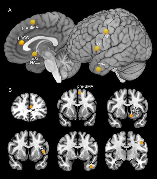 Seeds localization (yellow spheres) on the MNI152 template. The location of the seeds was shown on mesial and lateral views of a 3D reconstruction (A) and on a series of coronal sections (B). Abbreviations: FO, frontal operculum; pACC, pregenual anterior cingulate cortex; TPv, ventral temporal pole; VS/NAcc, ventral striatum/nucleus accumbens.