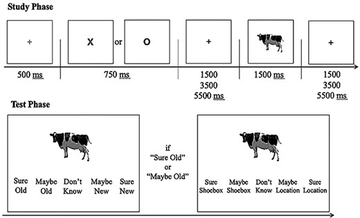 Schematic of the encoding task and subsequent memory test. At encoding, participants were instructed to indicate whether the item depicted by the image “fits into a shoebox” (X—shoebox trials); or “is more likely to be found indoors or outdoors” (O—location trials).