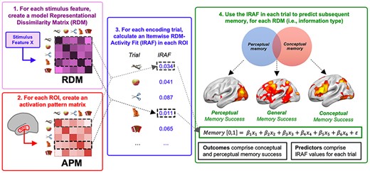 Four steps of the method employed. (1) RDMs are generated for each visual and semantic representation type investigated, and activation pattern dissimilarity matrices are generated for each region-of-interest. (2) An “activation pattern matrix” was created for each region-of-interest. This matrix tracks the dissimilarity between the fMRI activation patterns for all voxels in the ROI for each pair of stimuli, yielding a matrix of dissimilarity values of the same dimensions as the model RDM. (3) For each brain region, each model RDM is correlated with the activation pattern matrix, yielding a stimulus-brain fit (IRAF) measure for the region. (3) The IRAF is used as an independent variable in regressor analyses to identify regions where the IRAF of each RDM predicted subsequent memory in the perceptual memory test but not the conceptual memory test (perceptual memory), in the conceptual memory test but not the perceptual memory test (conceptual memory), and in both memory tests (general memory).