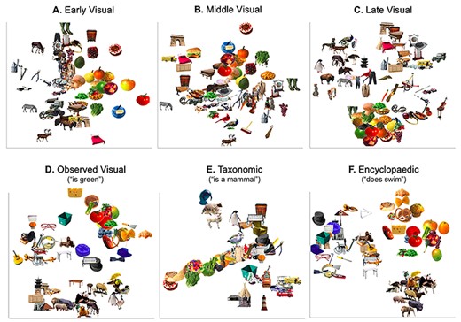 RDMs and corresponding descriptive MDS plots for the 3 visual (A: Early DNN Visual Information; B: Middle DNN Visual Information; C: Late DNN Visual Information) and 3 semantic (D: Observed infomation; E: Taxonomic Information; F: Encyclopedic Information) representations used in our analyses.