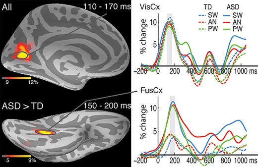 Group average maps and time courses of event-related theta source power during 110–200 ms. The top panel shows similar overall theta activity in the left visual cortex (VisCx) across the ASD and TD groups. The bottom map (left) shows group differences in theta activity in the left fusiform cortex (FusCx). The associated time courses (bottom right) indicate greater theta for all three word conditions in the ASD compared to the TD group. The vertical light-shaded bars denote the time window used in the ROI statistical analysis.