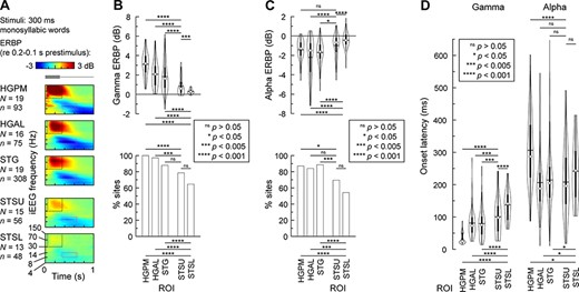 Activity in auditory cortex and STS during auditory target detection tasks. (A) Time–frequency plots of responses to monosyllabic words “cat,” “dog,” “five,” “ten,” “red,” and “white”, averaged across all recording sites in each of the five ROIs (top to bottom). Stimulus schematic is shown on top in gray. Dotted rectangles denote the time windows used for quantitative analyses of gamma and alpha ERBP (black: 50–350 ms, 30–150 Hz; cyan: 350–650 ms, 8–14 Hz). (B) Distribution of gamma ERBP values across sites and percentages of sites with significant (P < 0.05, t-test) gamma responses in each ROI (top and bottom panel, respectively). (C) Distribution of alpha ERBP values across sites and percentages of sites with significant (P < 0.05, t-test) alpha suppression in each ROI (top and bottom panel, respectively). (D) Distribution of gamma and alpha ERBP onset latencies (left and right panel, respectively) across sites in each ROI. In each violin plot, circle denotes the median, horizontal line denotes the mean, bar denotes Q1 and Q3, and whiskers show the range of lower and higher adjacent values. Statistical significance of ERBP and onset latency differences was established using LME models with ROI as the fixed effect and subject as the random effect. Statistical significance of response prevalence differences was established using Fisher exact tests.
