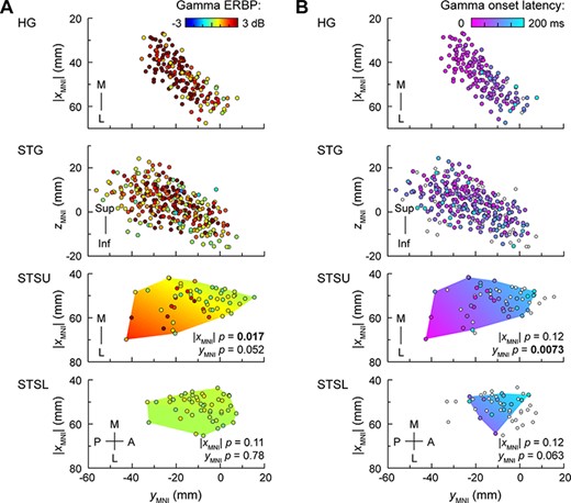 Spatial distribution of gamma ERBP and its onset latency elicited by monosyllabic words presented in target detection tasks within STS, with reference to activity in HG and STG plotted in the same coordinate space. (A) Gamma ERBP. Locations of recording sites from all subjects are plotted in MNI coordinate space, color-coded by gamma ERBP magnitude. Distributions of sites are shown in top-down views for HG, STSU, and STSL, and lateral views for STG. For STSU and STSL, LME model predictions are plotted as color gradient areas, bound by the convex envelopes of the sites’ locations. P-values correspond to the fixed effects of |XMNI| and YMNI coordinates. XMNI coordinates of sites in the left hemisphere were multiplied by (−1) to map them onto the right-hemisphere common space, as adding hemisphere as a fixed effect did not improve the model fits for either STSU or STSL. (B) Gamma onset latency. Sites where onset latency could not be measured due to gamma ERBP not exceeding the threshold (see Materials and Methods) are depicted as small white circles.