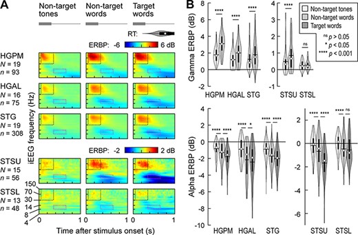Stimulus and target effects in the semantic categorization task. (A) Time–frequency plots of responses to complex tones (left column), monosyllabic words “cat,” “dog,” “five,” and “ten,” presented as nontarget and target stimuli (middle and right column, respectively), averaged across all recording sites in each of the five ROIs (top to bottom). Responses were only included into the averages if they were correct rejections for nontarget trials and correct hits for target trials (i.e., missed target trials and false alarm responses were excluded). Stimulus schematic is shown on top in gray; distribution of RTs for target hits is shown as a violin plot. Dotted rectangles denote the time windows used for the quantitative analyses of gamma and alpha ERBP (black: 50–350 ms, 30–150 Hz; magenta: 350–650 ms, 8–14 Hz). Different ERBP scales are used for auditory cortex and STS to better visualize the smaller responses in STSU and STSL. (B) Distribution of gamma and alpha ERBP (top and bottom rows) across sites in each ROI, grouped by condition (nontarget tones, nontarget words, and target words). In each violin plot, circle denotes the median, horizontal line denotes the mean, bar denotes Q1 and Q3, and whiskers show the range of lower and higher adjacent values. Statistical significance of differences was established using LME models with ROI as the fixed effect and subject as the random effect. Gamma ERBP in response to target words is not shown in the top panels, as target effect was not examined in early gamma activity (see text for details). Different y-scales are used for auditory cortex and STS to better visualize the smaller responses in STSU and STSL.