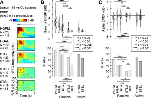 Activity in auditory cortex and STS during passive listening. (A) Time–frequency plots of responses to CV syllables /ba/, /da/, /ga/, /pa/, /ta/, and /ka/, averaged across all recording sites in each of the five ROIs (rows). Stimulus schematic is shown on top in gray. Dotted rectangles denote the time window used for the quantitative analyses of gamma and alpha ERBP (black: 50–350 ms, 30–150 Hz; magenta: 350–650 ms, 8–14 Hz). (B) Distribution of gamma ERBP values across sites and percentages of sites with significant (P < 0.05) gamma responses in each ROI (top and bottom panel, respectively). Magnitude and prevalence of gamma responses in the STS during the active task is replotted from Figure 4 in a darker shade of gray for comparison. (C) Distribution of alpha ERBP values across sites and percentages of sites with significant (P < 0.05) alpha suppression in each ROI (top and bottom panel, respectively). Magnitude and prevalence of alpha suppression in the STS during the active task is replotted from Figure 4 in a darker shade of gray for comparison. In each violin plot, circle denotes the median, horizontal line denotes the mean, bar denotes Q1 and Q3, and whiskers show the range of lower and higher adjacent values. Statistical significance of differences was established using LME models with ROI as the fixed effect and subject as the random effect. Statistical significance of response prevalence differences was established using Fisher exact tests.