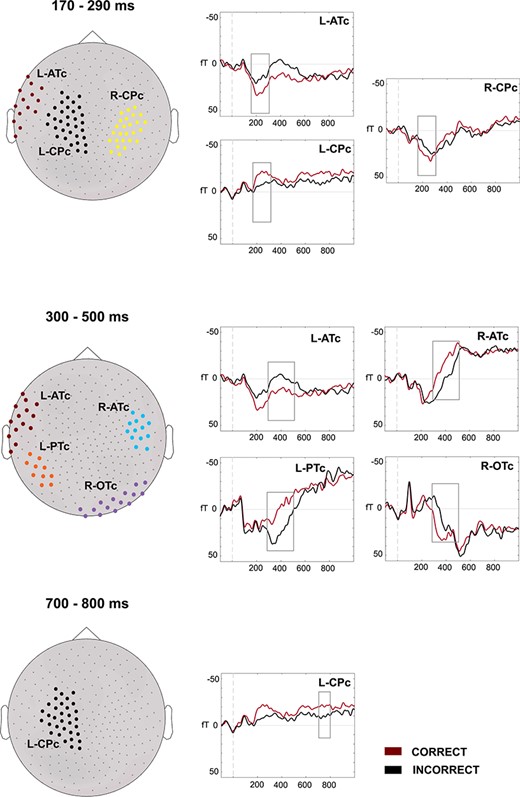 Results at the sensor space (ERFs) for the correct–incorrect contrast. The ERFs for the correct and incorrect solutions are depicted for the different sensor clusters (left). Clusters are differentiated by different colors. During the first latency band (170–290 ms), effects for correctness were shown in the L-ATc, L-CPc, and R-CPc clusters. During the second latency band (300–500 ms.), correctness effects again appeared in the L-ATc cluster, in a left cluster: L-PTc and in 2 right clusters: R-ATc and R-OTc. During the last latency band (700–800 ms.), the L-CPc cluster again showed effects of correctness. Sources were estimated on those latency bands.