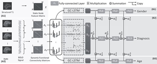 The schematic representation of the proposed DS-GCN with assistant task training for disease diagnosis using fMRI data. The static features of each node are defined by structural images (A1), and time-varying edges are defined by dynamic functional connectivity (A2). Dynamic graphs are then processed by diagnosis network (B2) and two subnetworks (B1 and B3) for assistance.