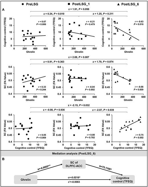 Mediation analysis among SC of the DLPFC-ACC, TFEQ-cognitive control, and ghrelin levels in 14 obese patients. (A) SC of the DLPFC-ACC was significantly positively correlated with TFEQ-cognitive control and negatively correlated with ghrelin levels, and TFEQ-cognitive control was negatively correlated with ghrelin levels at PostLSG_6 but not at PreLSG and PostLSG_1. (B) Mediation analyses showing that the realtionship between ghrelin levels and cognitive control was mediated by SC of DLPFC-ACC. Notes: PreLSG, obese patients who received MRI scan before surgery; PostLSG_1, obese patients who received MRI scan at 1 month after surgery; PostLSG_6, obese patients who received MRI scan at 6 months after surgery; FA, fractional anisotropy; TFEQ, three factors of eating questionnaire.