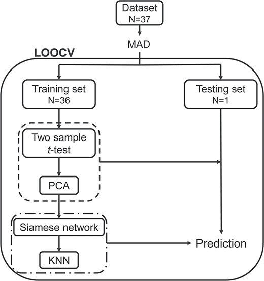 The leave-one-out cross-validation classification flowchart. MAD was employed to eliminate RSFC features with outlier values. On the training loop, the LOOCV split dataset into a training set and testing set. The training set was used for feature selection and transformation (the dash line), and to train the Siamese-KNN classifier (the dash-dotted line). Next, the built classifier was used to predict the label of the testing subject. After all loops, the average accuracy for all subjects was then calculated. Abbreviations: MAD, median absolute deviation; LOOCV, leave-one-out cross-validation; PCA, principal component analysis; KNN, K-nearest neighbor.