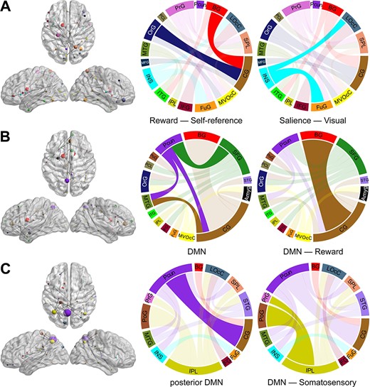 The connectivity patterns revealed by PCA. (A) PC1 connectivity pattern, (B) PC2 connectivity pattern, and (C) PC3 connectivity pattern. The size of each node in the left is directly related to its number of connections. Nodes from the same macroscale brain region are depicted in the same color. In the circular connectograms, the size of edges reflects the number of connections.
