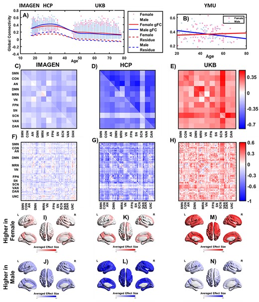 Brain sex differences. (A) Trajectories of the gFC in the female (red) and the male (blue) brains. Each dot stands for one individual. The lines were fitted by splines. After regressing the covariates, including the mean FD, SNR, and TIV, the trajectories of the residuals were reported as the dotted lines. In total 3 data sets (i.e., IMAGEN, HCP, and UKB) covered 3 age groups. (B) Trajectories of the gFC using the data collected at a single site covering a wider age range (i.e., the Yang-Ming data set). (C–E) Sex differences in 3 datasets at the network level. The mean of intra/inter-network connectivity was reported; (F–H) Sex differences in 3 datasets at the edge level. The brain regions were arranged into the brain functional networks. The sex-difference was reported for the connectivity between each pair of brain regions. In (C–H), the upper right triangle shows the original effect size, and the lower left triangle shows the effect size after controlling for the potential confounding factors (e.g., mean FD, SNR, and the TIV); (I–N) sex differences at the regional level. A negative sex difference meant this connectivity was stronger in the female brains compared with the male brains. The negative differences were averaged in (I), (K), (M) and the positive differences were averaged in (J), (L), (N).