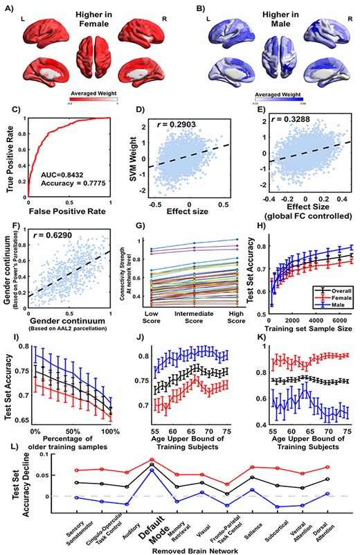 A multivariate classifier for sex based on the resting-state functional connectivity. (A) The negative weights in the SVM were averaged for each brain region among all its functional connectivity with the other brain regions. A negative weight meant this functional connectivity was in average stronger in the female brains compared with the male brains; (B) the positive weights in the SVM were averaged for each brain region; (C) performance of the SVM measured by the receive-operating characteristic (ROC) curve. Scatter plot of the SVM weights against the effect sizes of sex difference using the UKB sample before (D) and after (E) regressing out the gFC; (F) scatter plot of gender continuum calculated from Power Atlas (264 regions) and AAL2 Atlas (94 regions); (G) comparison of each of the intra- and inter-network connectivity (in total 66 types of connections) among the participants with the lower, higher and intermediate brain gender continuum scores. Influences on the classification accuracy of the trained SVM in the test sample when (H) changing the sample size; (I) changing the age composition while fixing the sample size at 3000; (J) changing the upper age bound of the participants, of the training data; (K) performance of SVM model without regressing age and its higher order terms, the model fails in male test samples; (L) removing one functional network from the input feature of the SVM.