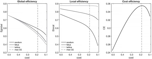 Economy of fetal RSNs. Global and local efficiency of fetal networks, as a function of network cost, are shown relative to random and lattice networks. Fetal RSNs are cost efficient (right); CE values >0 at all costs tested. Maximum cost efficiency denoted by dashed vertical line.