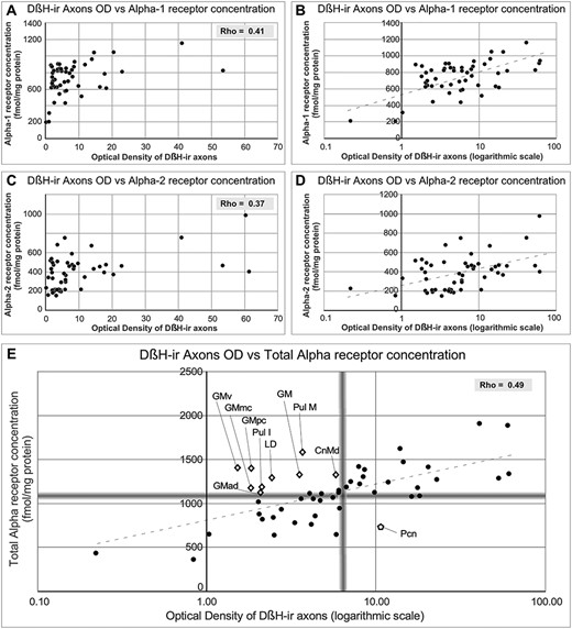 Graphs representing the correlations between Alpha receptor concentrations and OD of DβH-ir axons. A) and C) Representation of the values of Alpha-1 receptor concentration (A) and Alpha-2 receptor concentration (C) vs. the DβH OD. Rho value is given on each graph. B) and D) Transformation of DβH OD to logarithmic scale changes the distribution of the data to a linear pattern. E) Representation of values of total Alpha receptor concentrations vs. OD of DβH-ir axons (transformed to logarithmic scale). Blurred gray lines represent the median value in each axis. Note that after transformation, receptors and axons follow a linear correlation, and nuclei in which axon and receptor densities are not completely coincident can be identified in the graph: open diamonds represent nuclei containing high Alpha receptor densities and low DβH-ir axon densities. The open pentagon represents the Pcn nucleus, which has a high DβH-ir axon density and low Alpha receptor densities.