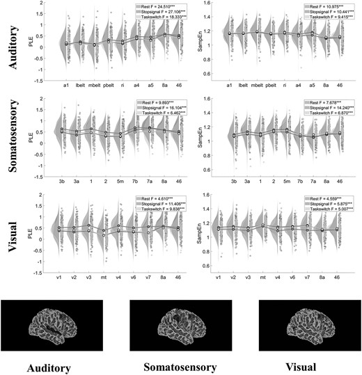 Differentiation in the neural dynamics of the input systems. Top: Raincloud plots and results of one-way ANOVA between regions’ PLE and SampEn values in auditory, somatosensory and visual systems, respectively, showing clear differentiation between regions in all three systems. Bottom: The regions in each system shown on a cortical surface.